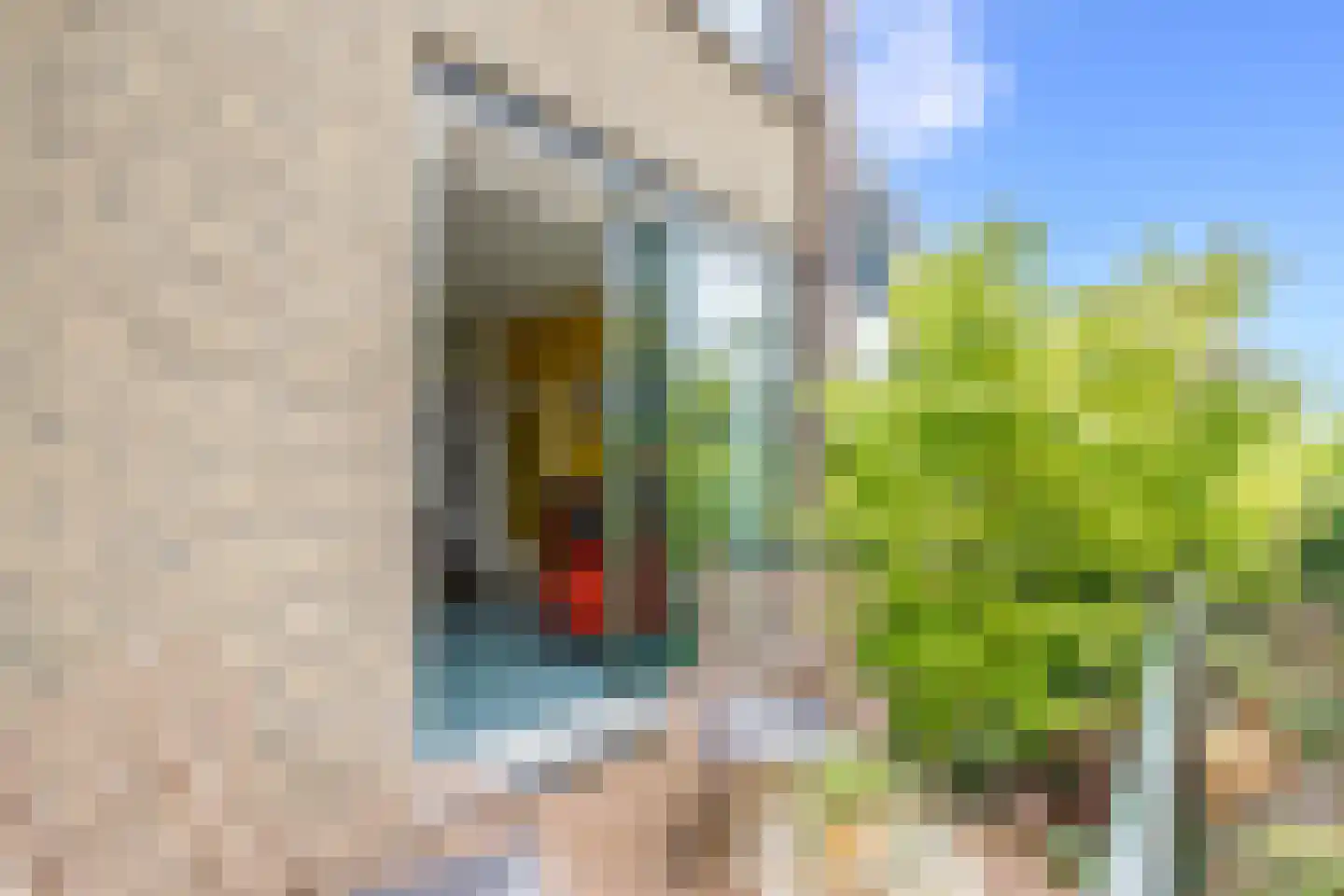 Buys Ballotsingel 15 Schoonhoven thumbnail 18