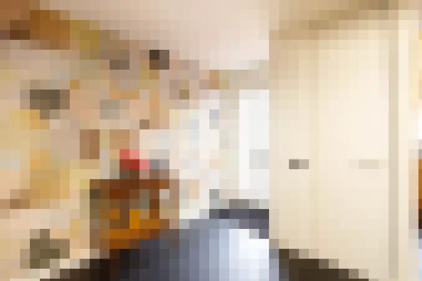 Buys Ballotsingel 15 Schoonhoven thumbnail 7
