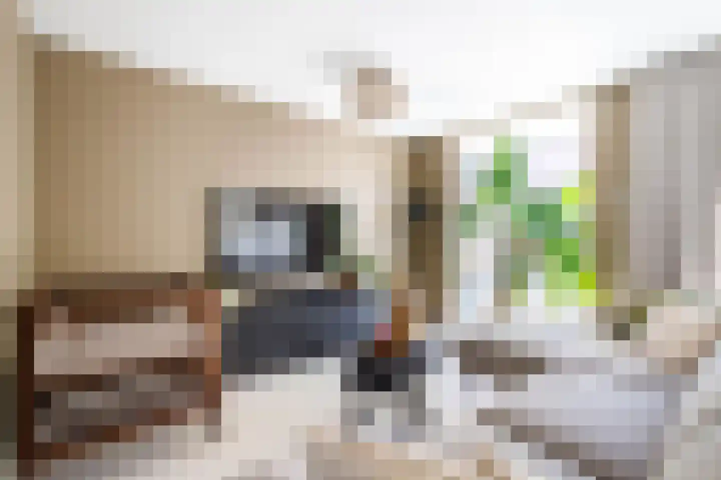 Buys Ballotsingel 16 Schoonhoven thumbnail 12