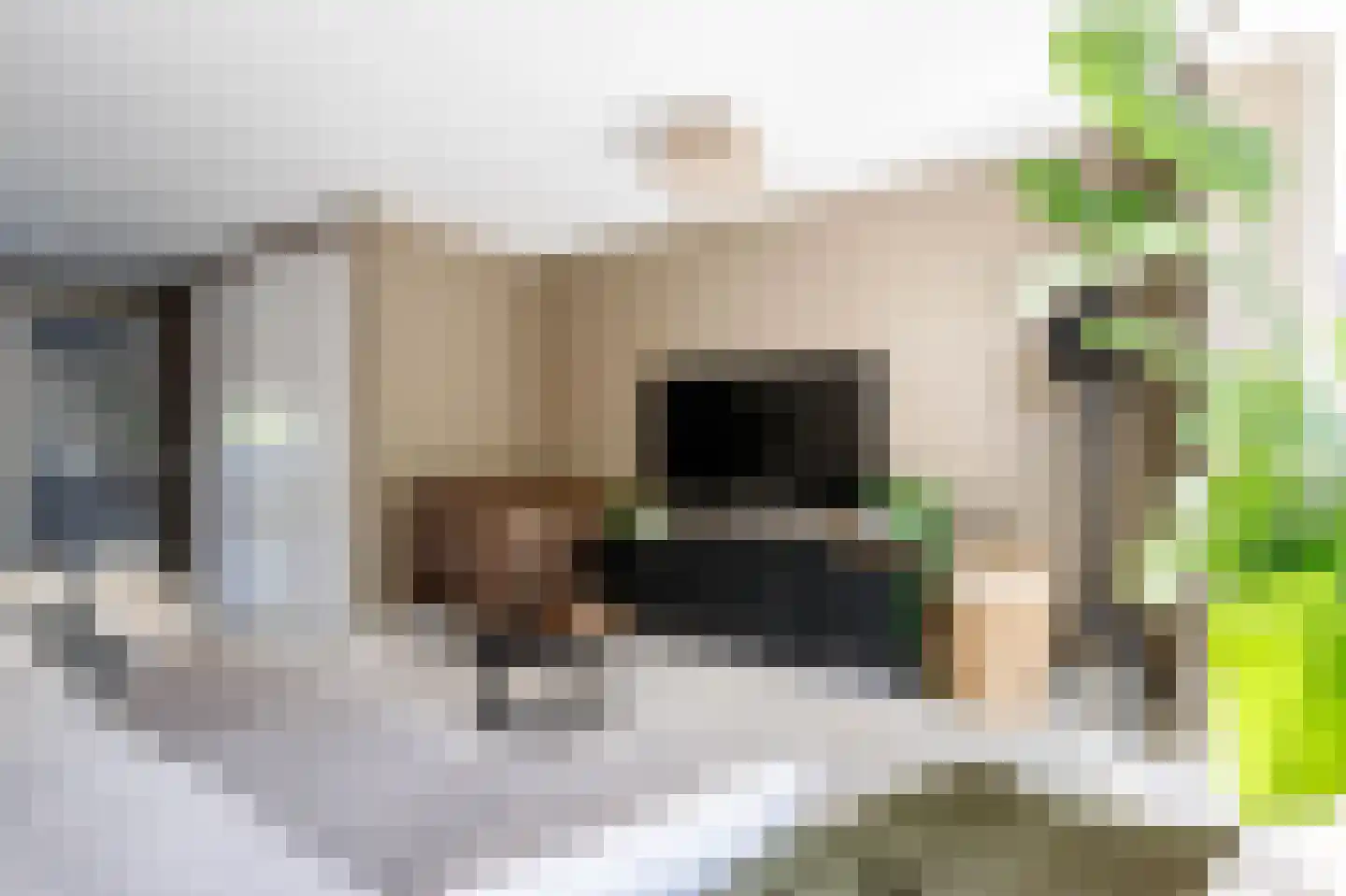 Buys Ballotsingel 16 Schoonhoven thumbnail 13