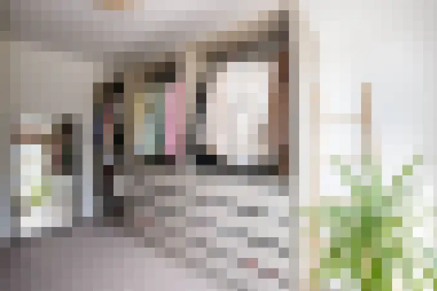 Buys Ballotsingel 16 Schoonhoven thumbnail 25