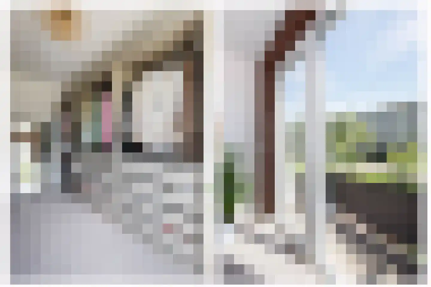 Buys Ballotsingel 16 Schoonhoven thumbnail 26