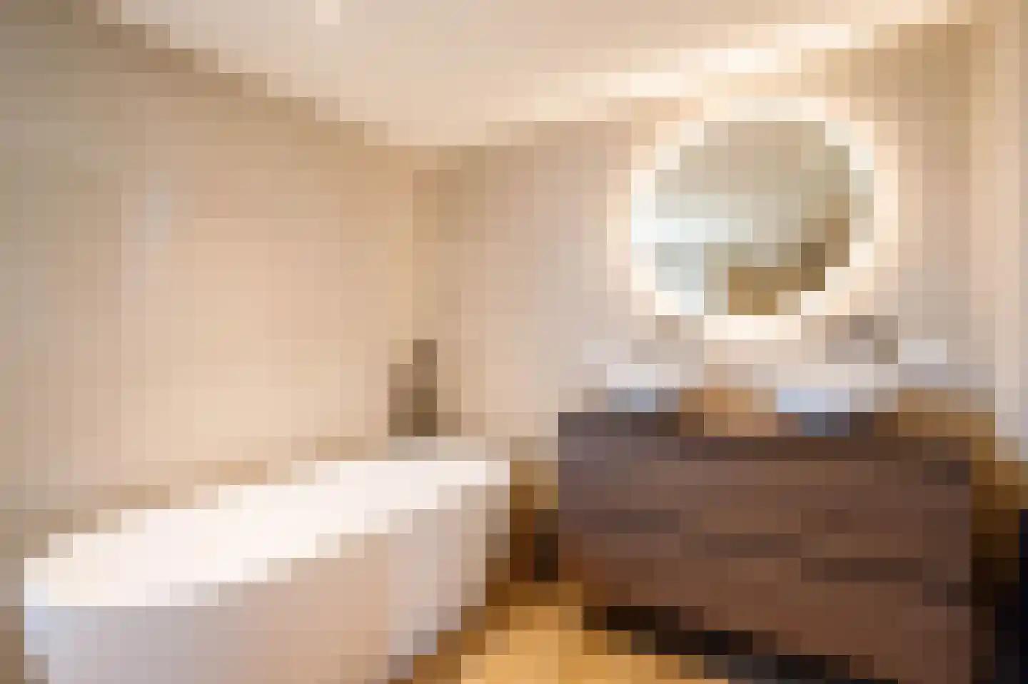 Buys Ballotsingel 16 Schoonhoven thumbnail 4