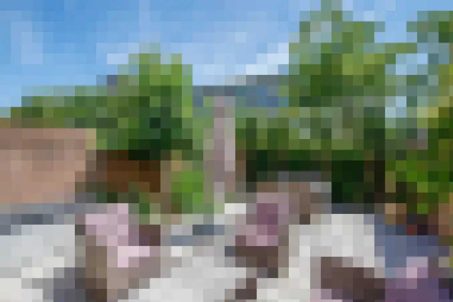 Buys Ballotsingel 16 Schoonhoven thumbnail 41