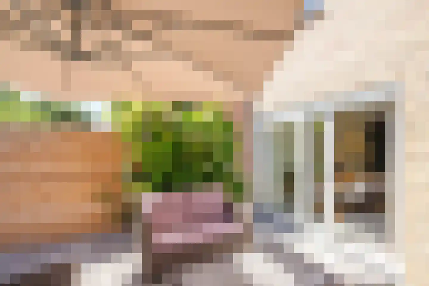 Buys Ballotsingel 16 Schoonhoven thumbnail 43