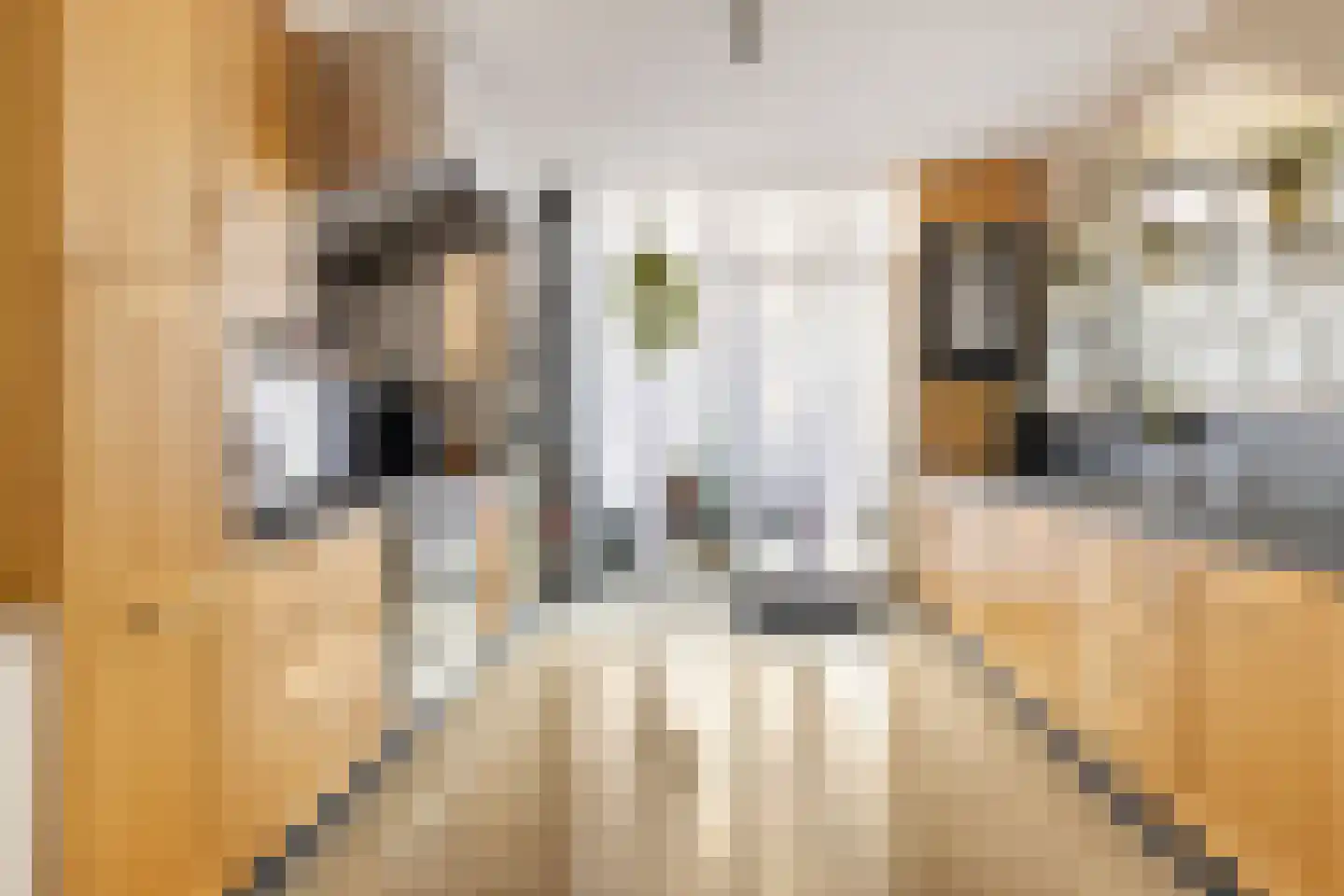 Buys Ballotsingel 25 B Schiedam thumbnail 5