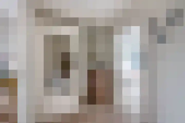 Buys Ballotsingel 4 Schoonhoven thumbnail 11