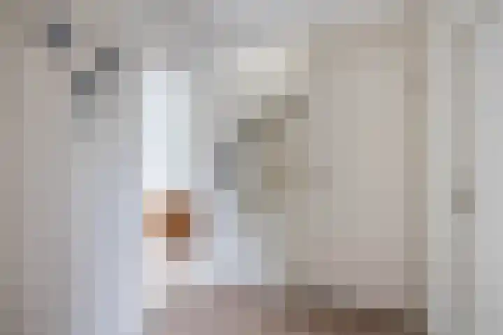 Buys Ballotsingel 4 Schoonhoven thumbnail 15