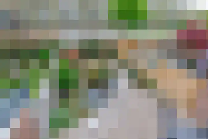 Buys Ballotsingel 4 Schoonhoven thumbnail 19