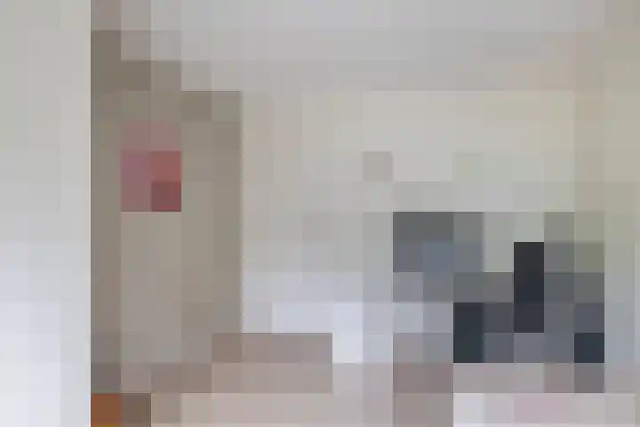 Buys Ballotsingel 4 Schoonhoven thumbnail 22