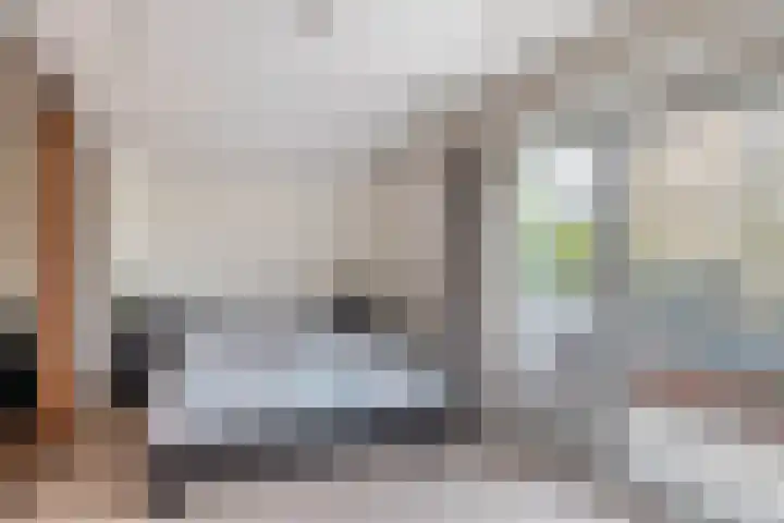 Buys Ballotsingel 4 Schoonhoven thumbnail 25