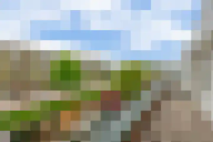 Buys Ballotsingel 4 Schoonhoven thumbnail 29
