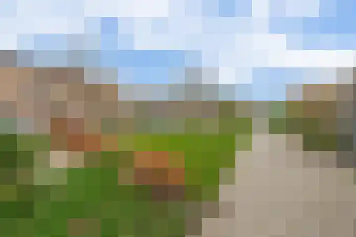 Buys Ballotsingel 4 Schoonhoven thumbnail 33