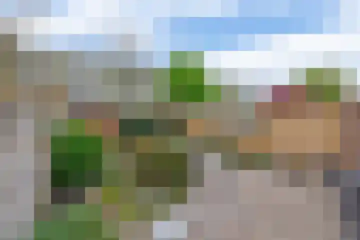 Buys Ballotsingel 4 Schoonhoven thumbnail 4