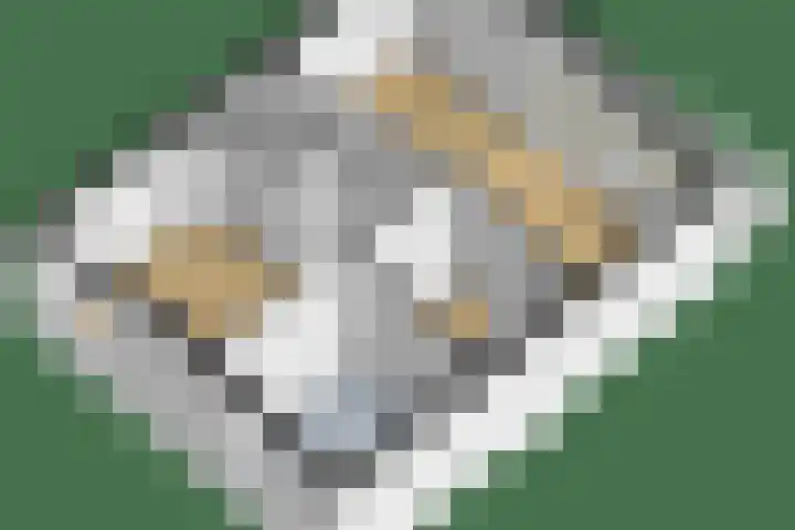 Buys Ballotsingel 4 Schoonhoven thumbnail 47