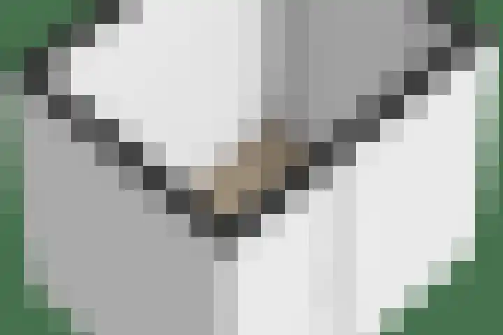 Buys Ballotsingel 4 Schoonhoven thumbnail 48