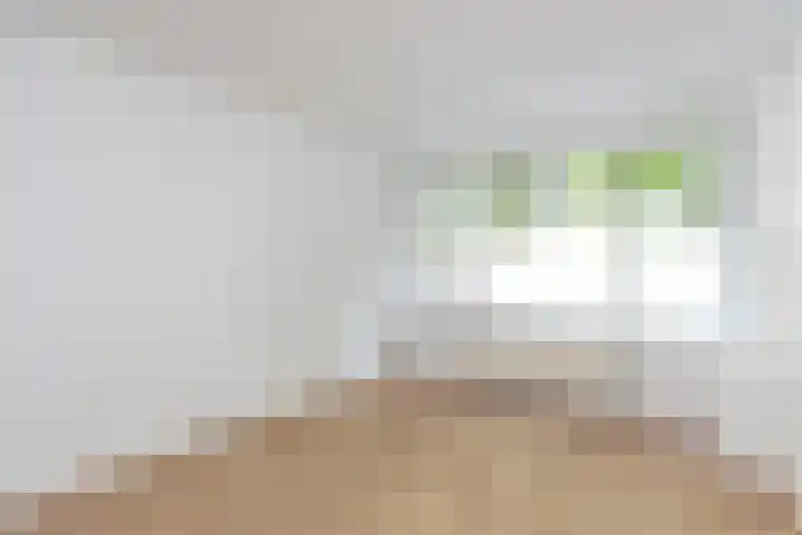 Buys Ballotsingel 53 B Schiedam thumbnail 16