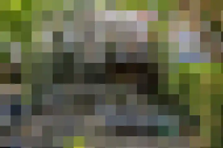 Buys Ballotsingel 65 Schiedam thumbnail 5