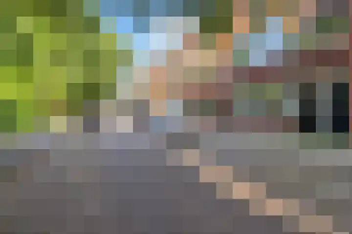 Buys Ballotsingel 65 Schiedam thumbnail 6