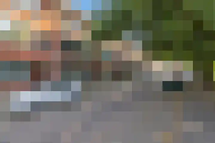 Buys Ballotsingel 65 Schiedam thumbnail 7