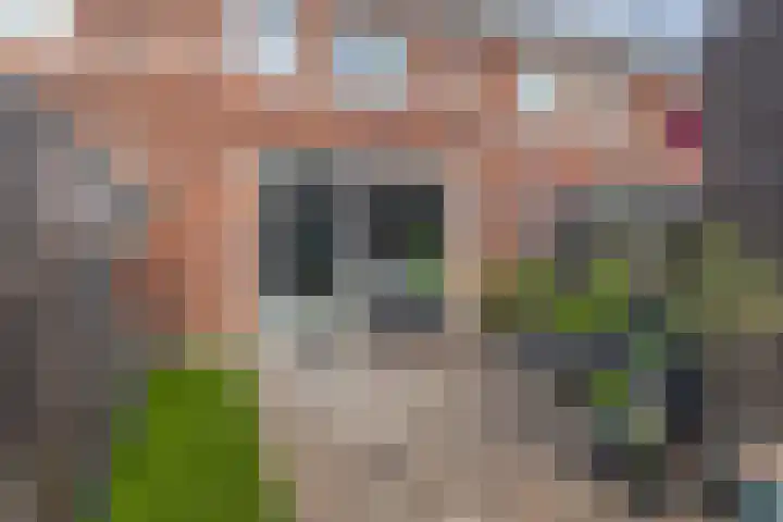 Buys Ballotsingel 7 B Schiedam thumbnail 24