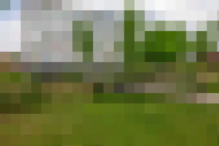 Buys Ballotsingel 7 B Schiedam thumbnail 42