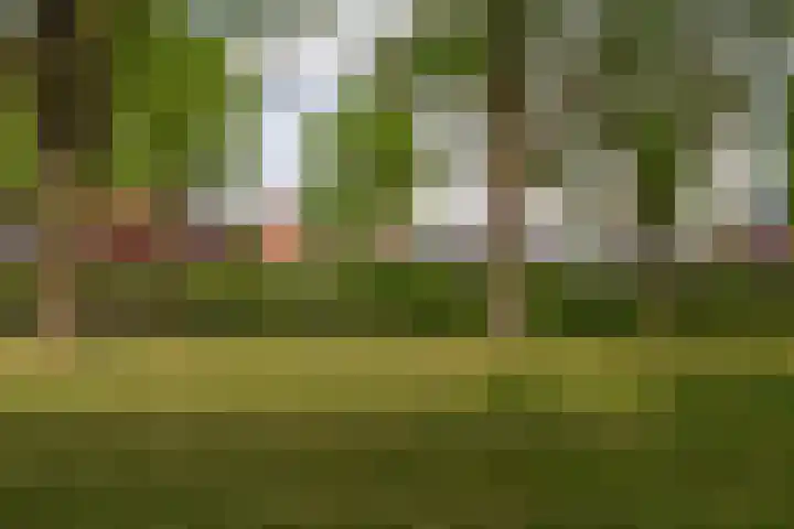 Buys Ballotsingel 7 B Schiedam thumbnail 7