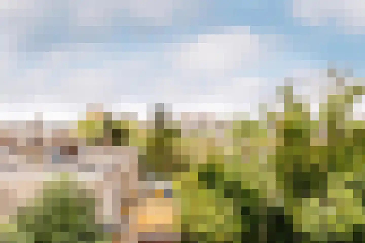 Buys Ballotsingel 74 A Schiedam thumbnail 41