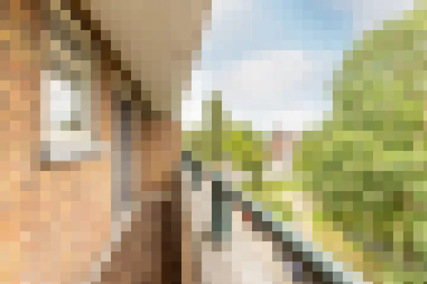 Buys Ballotsingel 74 A Schiedam thumbnail 46