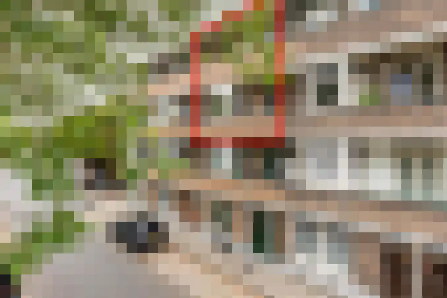 Buys Ballotsingel 74 A Schiedam thumbnail 6