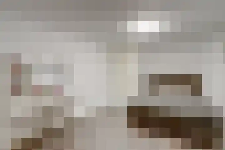 Buys Ballotsingel 80 A Schiedam thumbnail 20