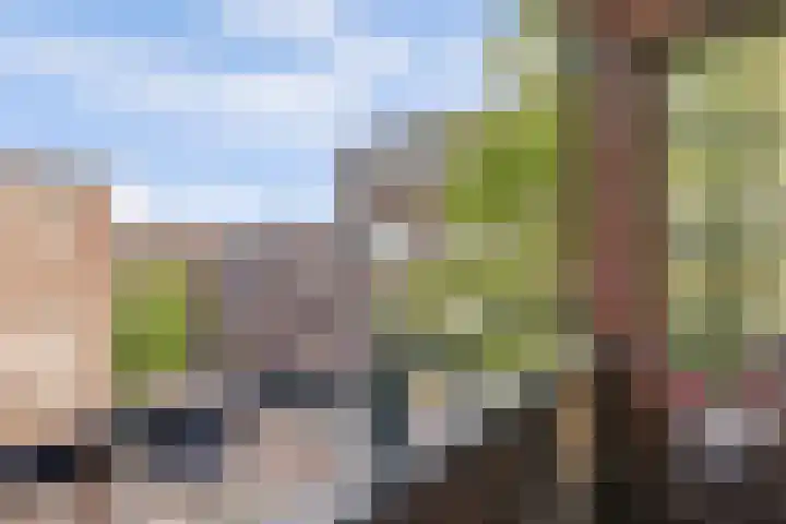 Buys Ballotsingel 80 A Schiedam thumbnail 24