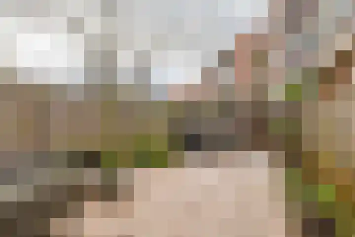 Buys Ballotsingel 84 A Schiedam thumbnail 37