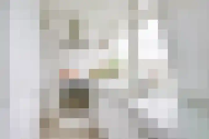 Buys Ballotstraat 1 B Utrecht thumbnail 17