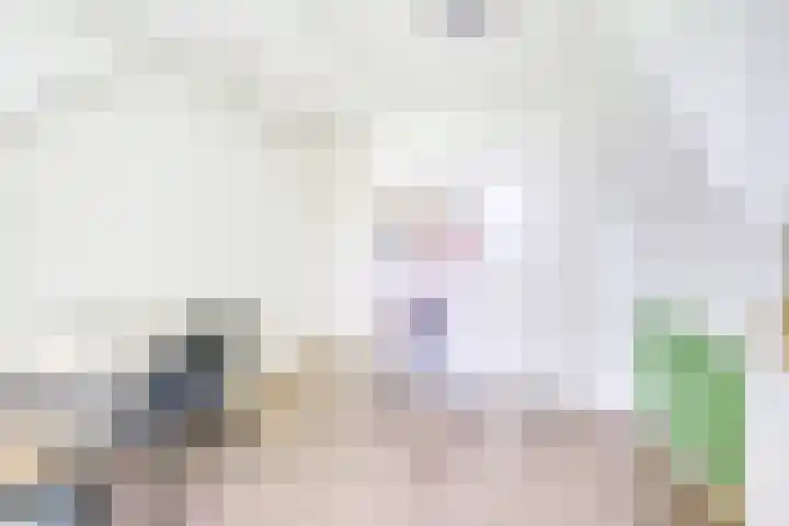 Buys Ballotstraat 1 B Utrecht thumbnail 23