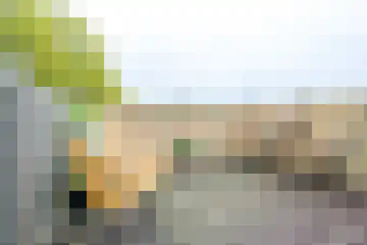 Buys Ballotstraat 1 B Utrecht thumbnail 4