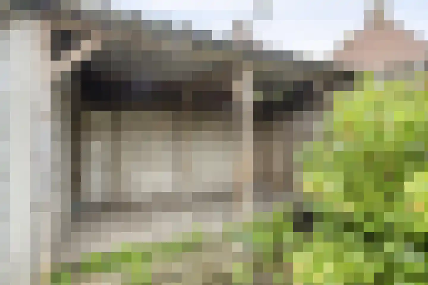 Buys Ballotstraat 1 Tilburg thumbnail 21