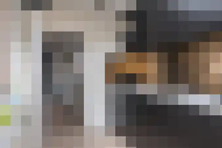 Buys Ballotstraat 10 Tilburg thumbnail 15