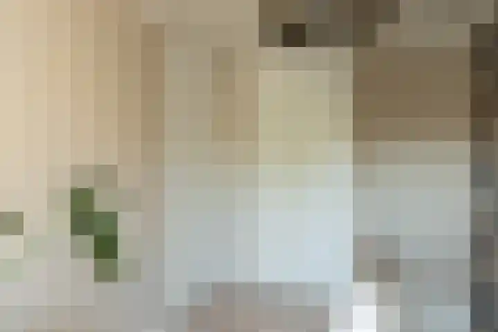 Buys Ballotstraat 10 Tilburg thumbnail 24