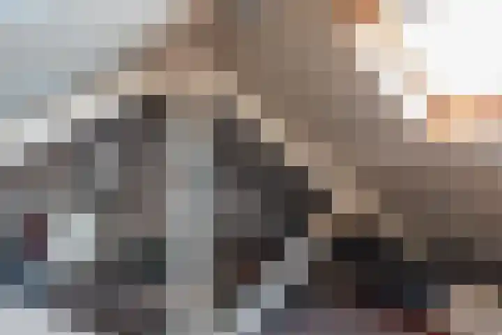 Buys Ballotstraat 10 Tilburg thumbnail 33