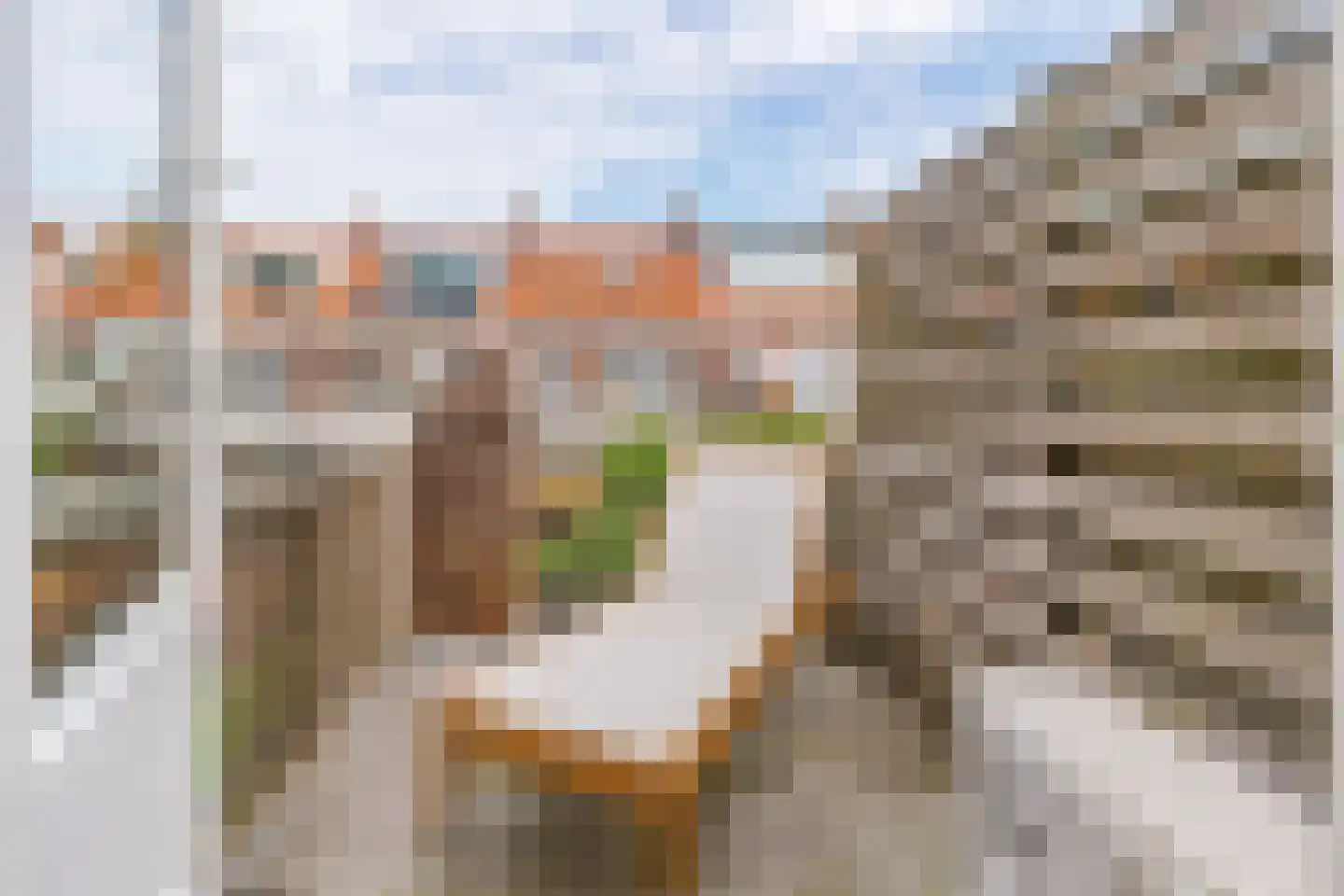 Buys Ballotstraat 12 Leiden thumbnail 35