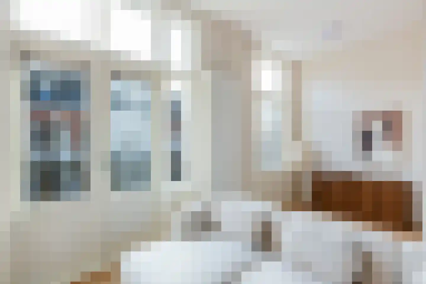 Buys Ballotstraat 18 BS Utrecht thumbnail 13