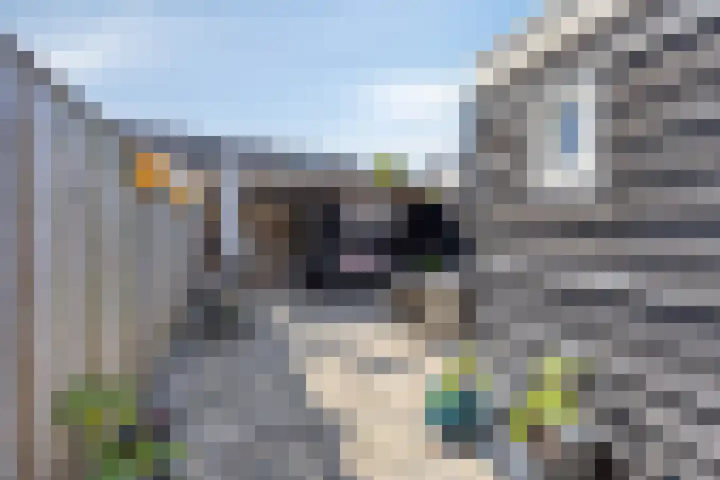 Buys Ballotstraat 19 Tilburg thumbnail 29