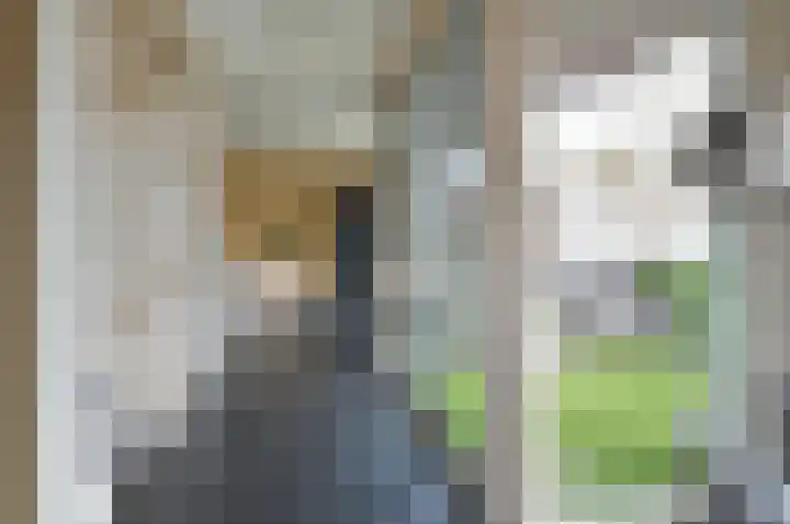 Buys Ballotstraat 2 Hilversum thumbnail 12