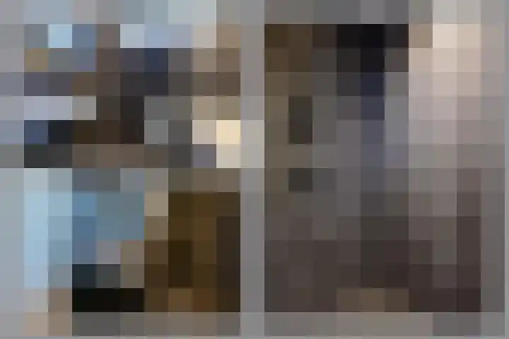 Buys Ballotstraat 2 Hilversum thumbnail 17