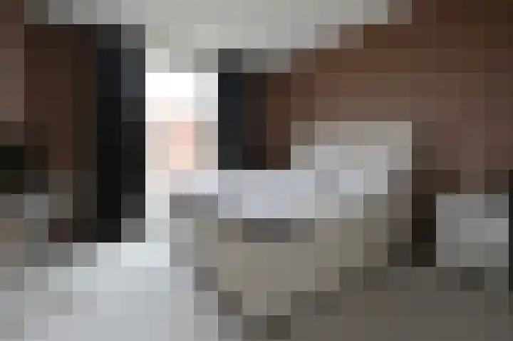 Buys Ballotstraat 2 Hilversum thumbnail 18