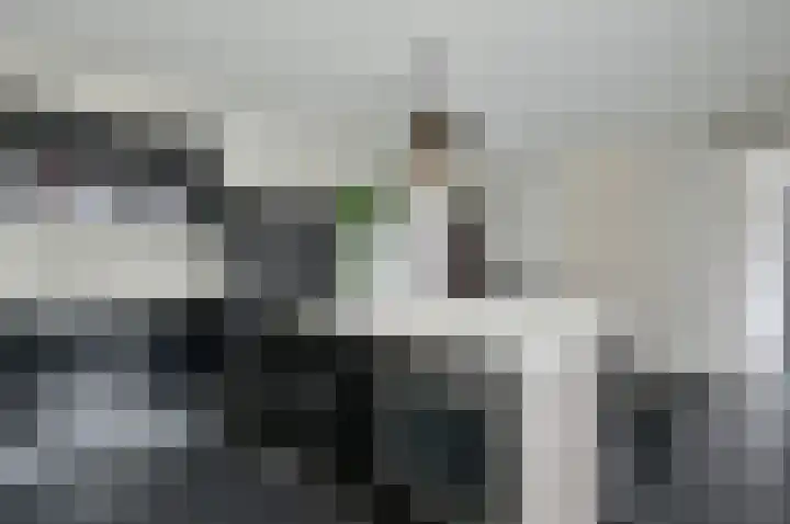 Buys Ballotstraat 2 Hilversum thumbnail 7