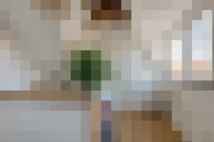 Buys Ballotstraat 21 B Leiden thumbnail 34