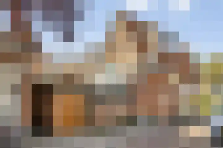 Buys Ballotstraat 21 B Leiden thumbnail 4