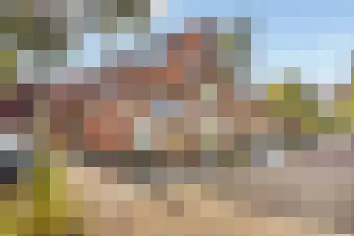 Buys Ballotstraat 21 B Leiden thumbnail 41